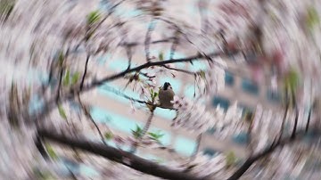 FREE Spin Transition Macro Preset for Davinci Resolve