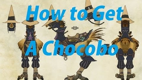 Final Fantasy 14 ARR: How to Get A Chocobo Mount