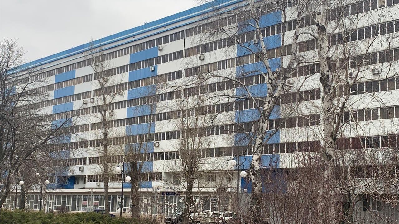 Работа, документы, скоро весна…