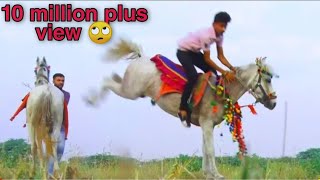 Kathiyawari Horse Roji Part = 6 || Jasku Kathi || Ramlechi Kathi Dayro ||
