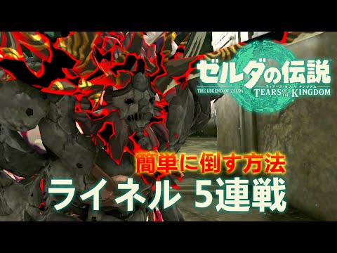ゼルダの伝説 ティアーズ オブ ザ キングダム ライネル5連戦