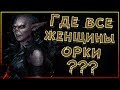 Где все женщины орки Средиземья???