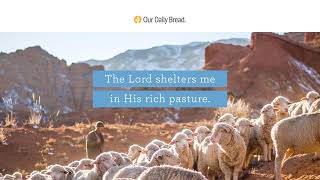 The Good Shepherd | Audio Reading | Our Daily Bread Devotional | February 7, 2023