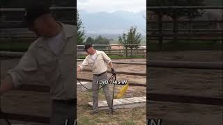 Master Your Horse's Release: Small, Medium, and Big! #shorts