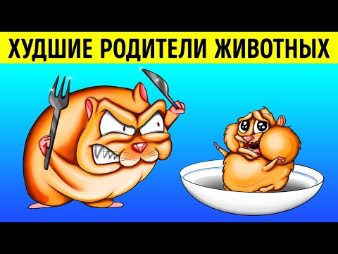 Чудеса природы Удивительные факты о животных