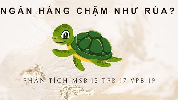 Vì sao cổ phiếu ngân hàng chậm như rùa? Phân tích MSB TPB VPB I Lướt sóng chứng khoán trong uptrend