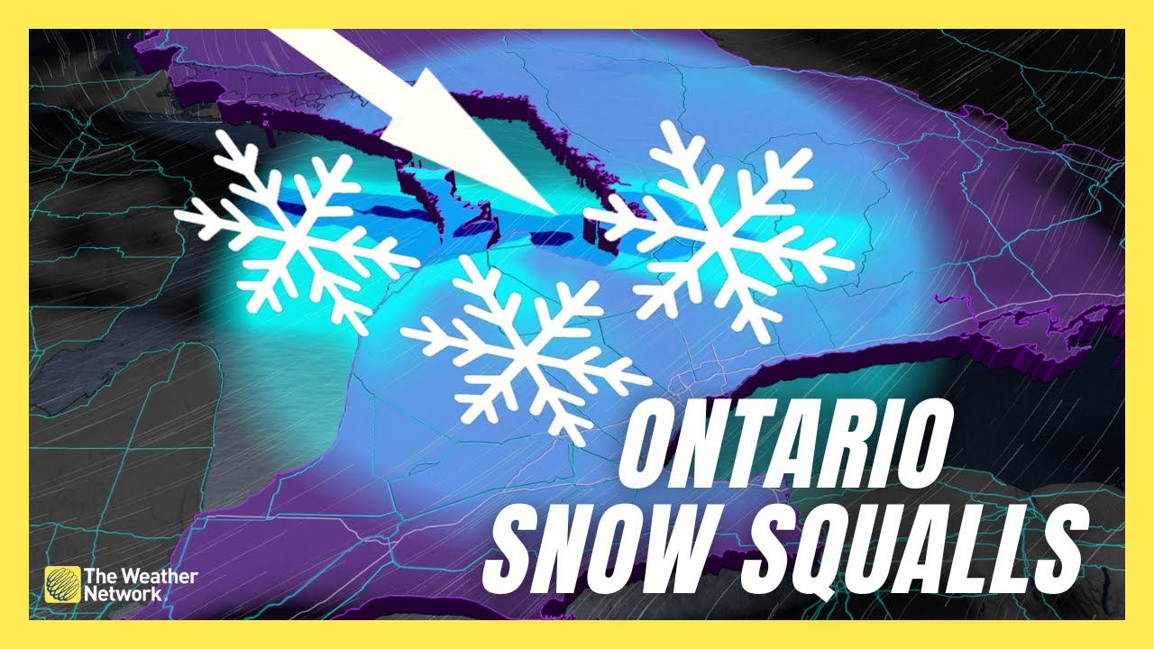 Snow Squalls Could Bring Another 50 Cm To Ontario, Risk Of Whiteouts ...
