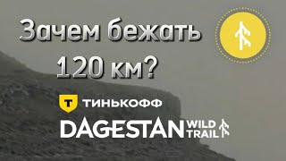 Тинькофф Dagestan Wild Trail 2024. Зачем бежать 120 км? Безумно красивый #trailrunning