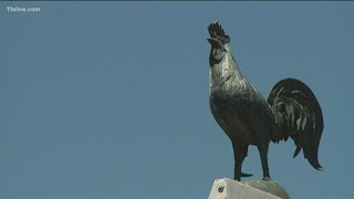 Georgia chicken processing plants continue unabated in the face of COVID-19 issues across US