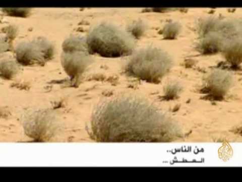 من الناس .. العطش