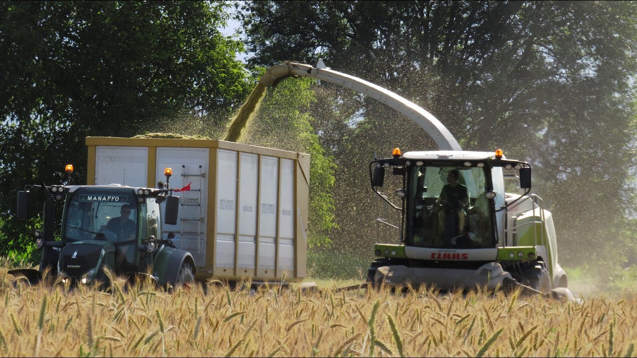 CLAAS JAGUAR 960 | X3 FENDT 516,716,712 | Triticale Silage | Team Manassero