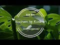 Kocham tę Roślinę - Monstera dziurawa (Monstera deliciosa) S05E01