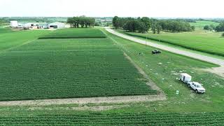 DJI T20 Agras Drone Demonstration