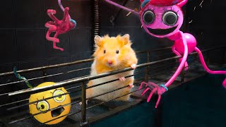 Hamster Is Trapped By Mommy Long Legs | Poppy Playtime Chapter 2