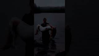 Prens ve Prenses … screenshot 3