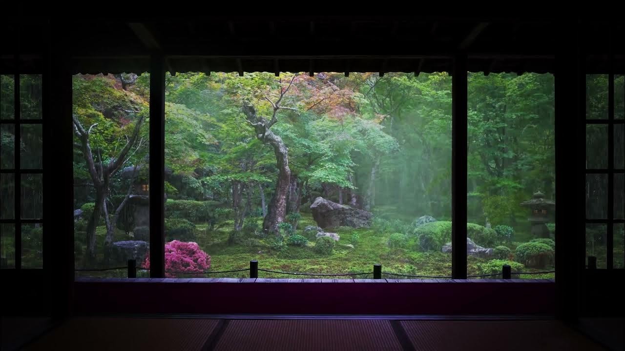Дождь на мягкой траве в японском саду: для сна, учебы, отдыха | ASMR