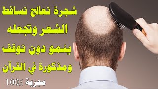 سبحان الله, شجرة مذكورة في القرآن والسنة تعالج تساقط الشعر وتجعله ينمو بغزارة دون توقف 😱