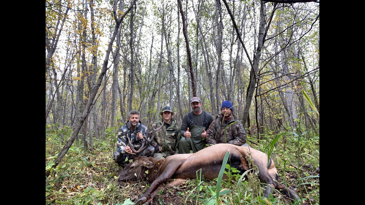 Elk hunt day, Camp Fire Talk, BC Adventures