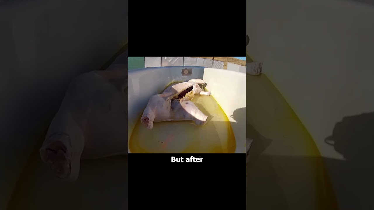 Can Acid Dissolve a Bathtub Like in Breaking Bad?