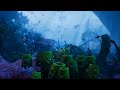 Amazing Underwater Intro || #9 || Ibu's Creation