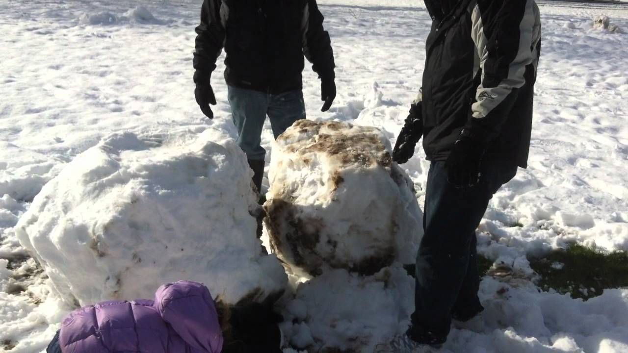 Snowman builders camera iphone 8 plus apk