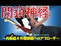vol.348 閉鎖神経リリース法‼ ~股関節、大腿部の痛みに対する1つのアプローチ法~