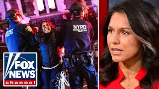 Tulsi Gabbard Addresses US University Protests