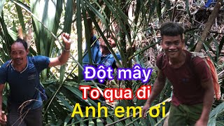 Hành trình đi chặt đột mây bột siêu to #xuanvlogs93 #độtmây