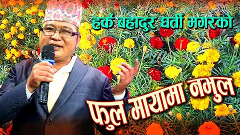 FULA MAYAMA NABHULA ।  फुल मायामा नभुल । New Nepali Live Lok Song  / By - Harka bahadur Gharti Magar