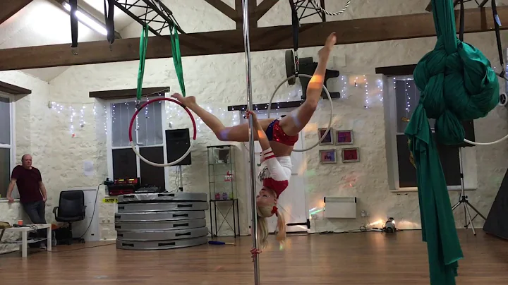 Louise Nicholson - The Aerial Lounge