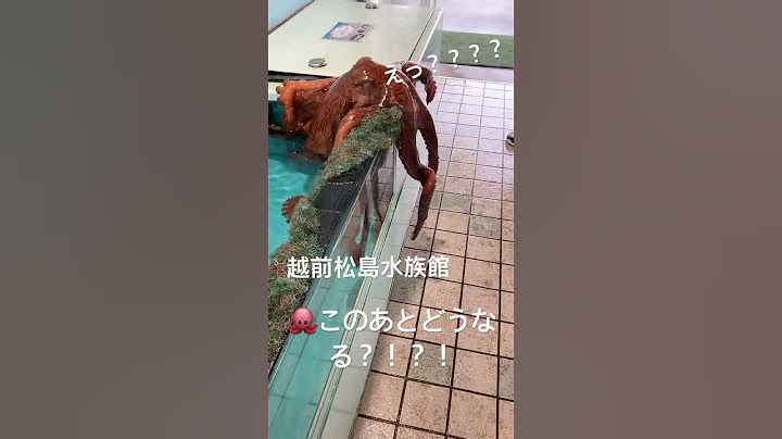【🐙脱走🐙】誰も止められないタコの決意。 #shorts #youtubeshorts #ytshorts