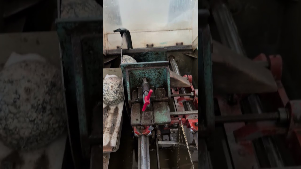 Incredible Jumbo Amethyst Geode cut open! 