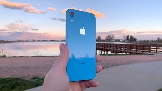 iPhone XR Review (Shot On iPhone XR)  The Perfect Size!