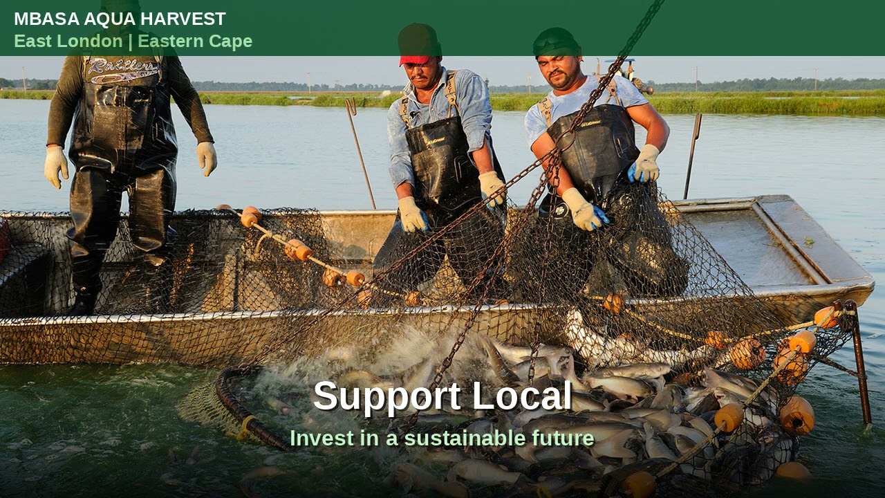 Fresh Fish East London 