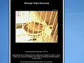 Montaje con las capturas de video realizadas durante los primeros 15 dias de la cria de una pareja de canarios.