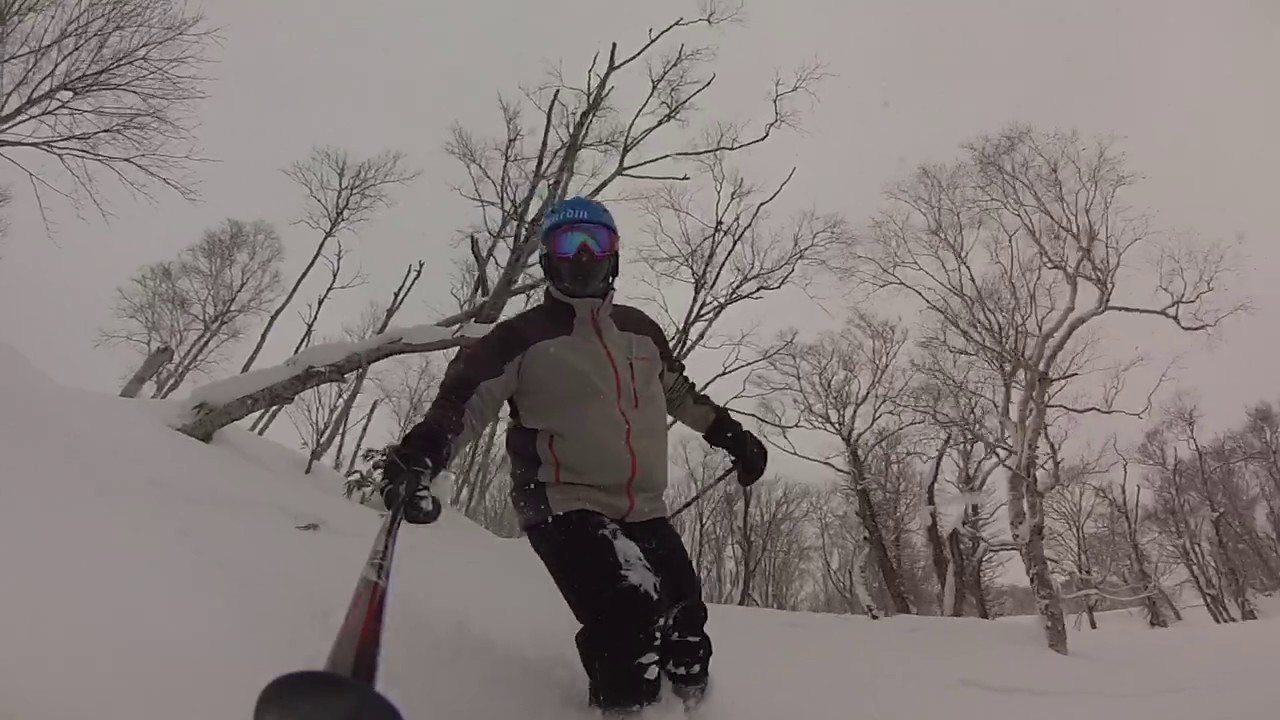 Tree banging in Niseko