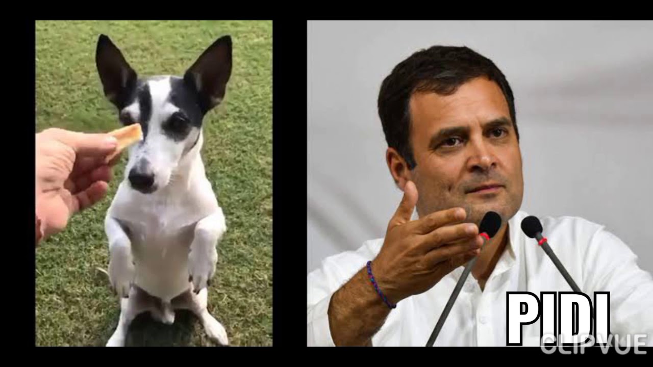 11 World Leaders And Their Equally Famous Pets