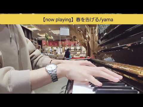 【ストリートピアノ】パン屋の一角で春を告げてきた　　春を告げる/yama