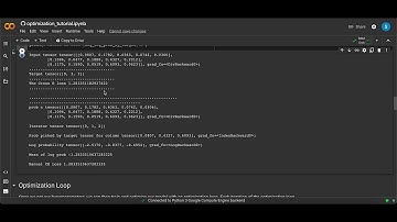 Neural Networks 8: PyTorch - Cross Entropy Loss