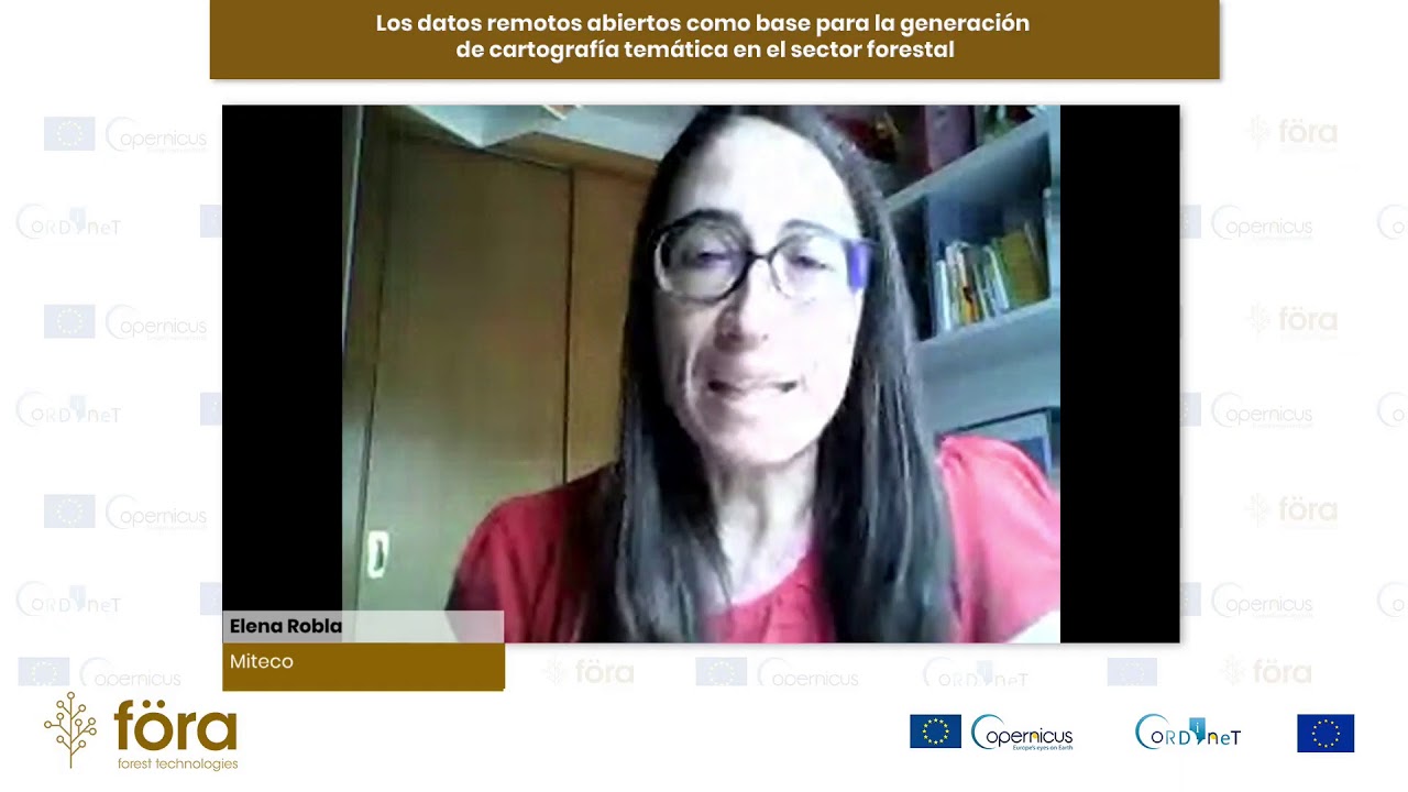 Generating Maps for Forest Management Based on Remote Sensing Data