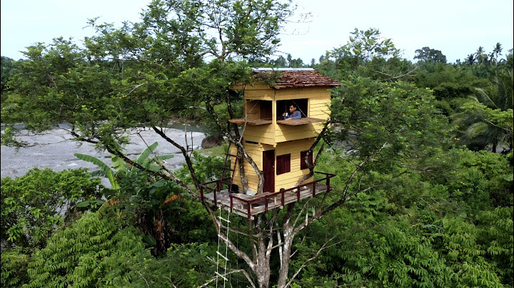1Hari cat Rumah pohon dan Berburu dapat banyak banget Burung!!!