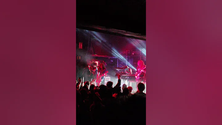 Violent Life - ANDREW W.K.@Irving Plaza 5.18.2018