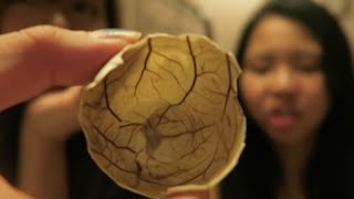 FIRST TIME TRYING BALUT! | Filipino Developing Bird Embryo