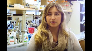 Studying Salty Sediments With Lexi