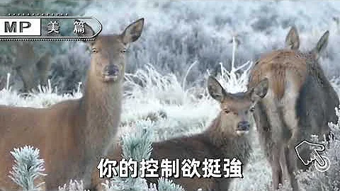 美篇：老公出轨后，女人原谅还是离婚？其实最正确的做法是 - 天天要闻