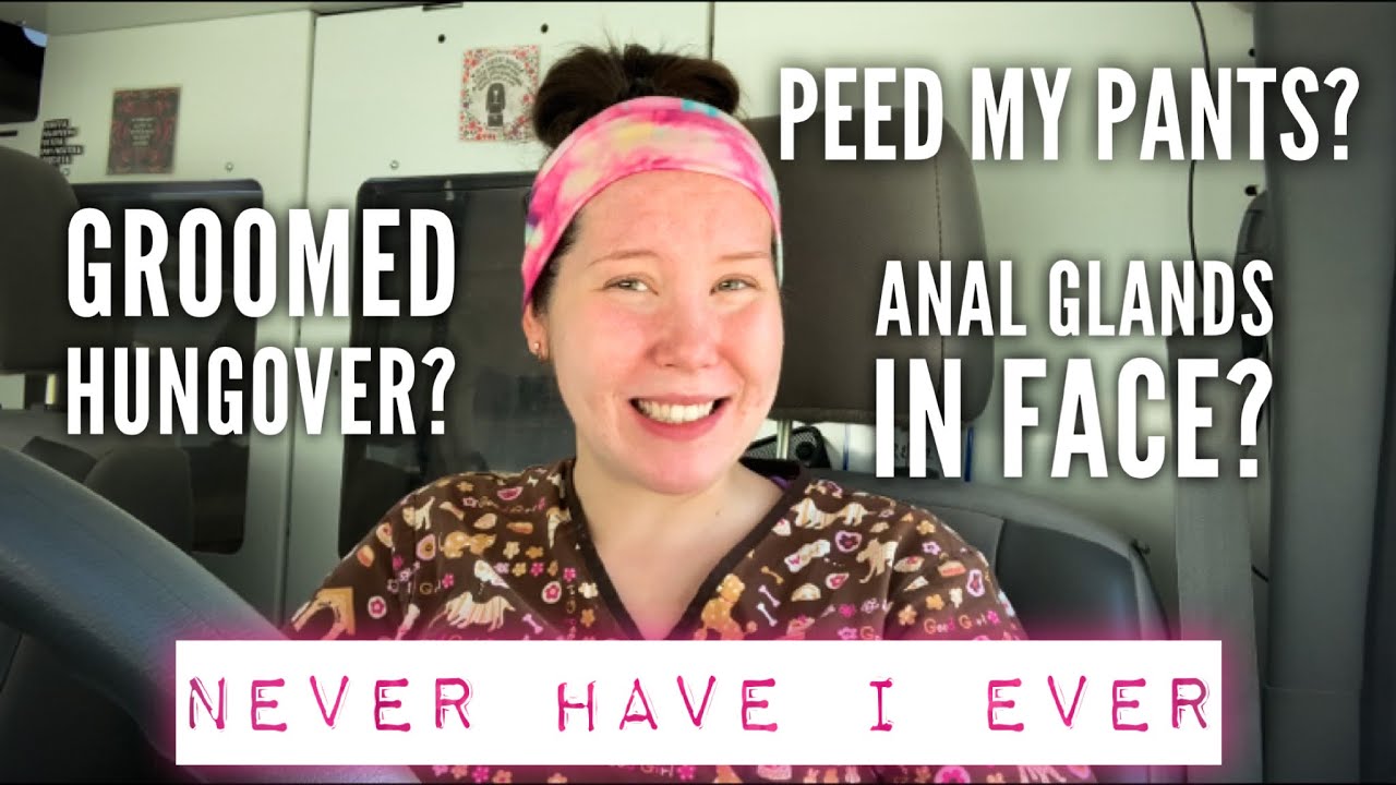 Dog Groomer “Never Have I Ever” | Mobile Pet Groomer - YouTube