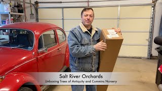 Unboxing Trees of Antiquity and Cummins Nursery