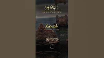 تلاوة خاشعة من سورة الشعراء بصوت القارئ احمد النفيس #قرآن #quran #قران_كريم #احمد_النفيس #راحة_نفسية