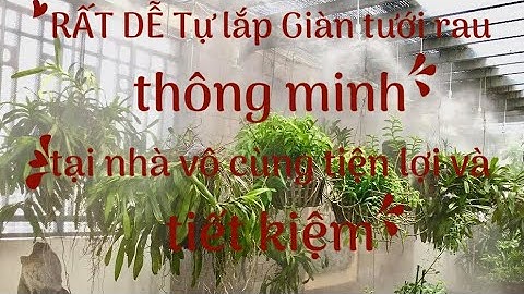 Tự lắp GIÀN TƯỚI PHUN SƯƠNG cho vườn và sân TỰ ĐỘNG chỉnh qua WIFI tại nhà