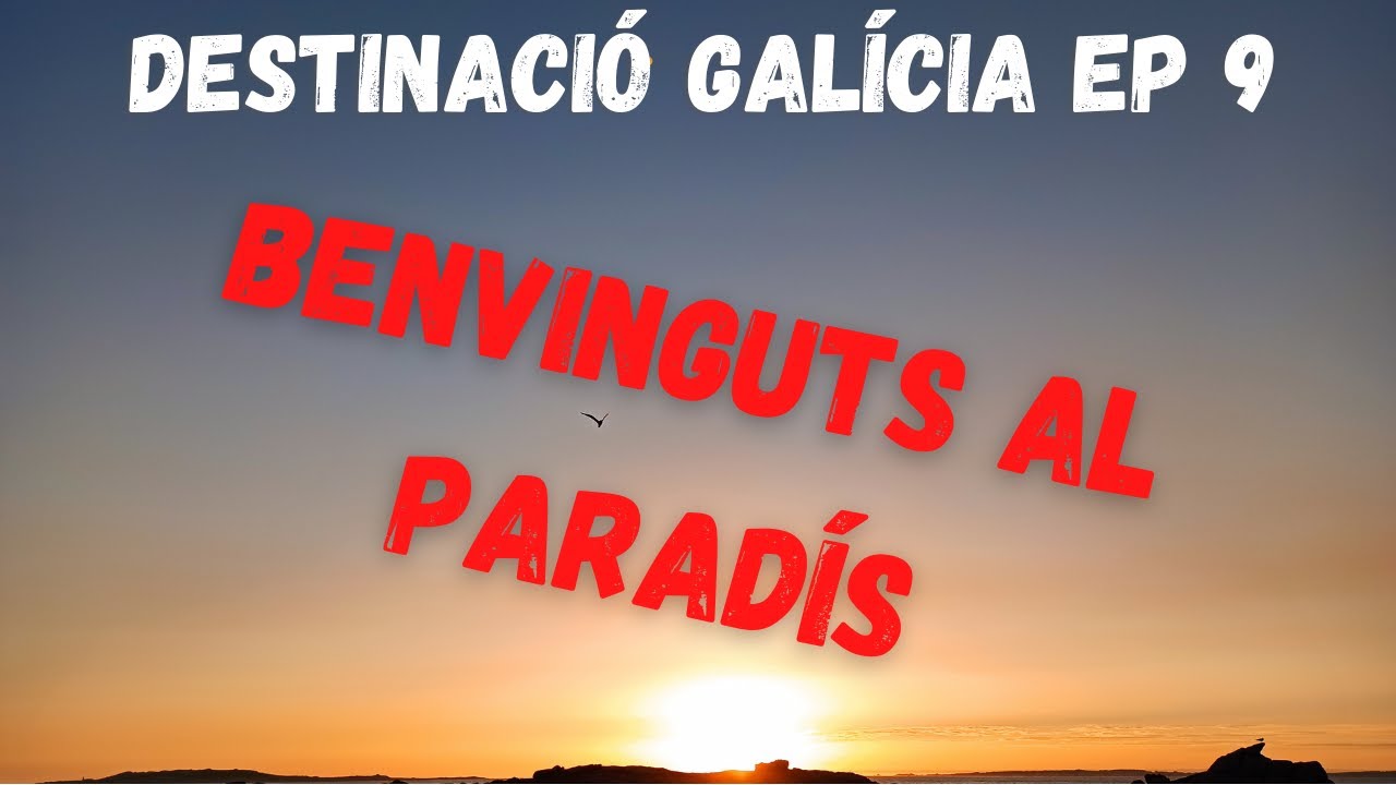 Destinació Galícia amb 🚐AUTOCARAVANA🚐 - EP 9 - O GROVE, EL PARADÍS🤩🤩🤩